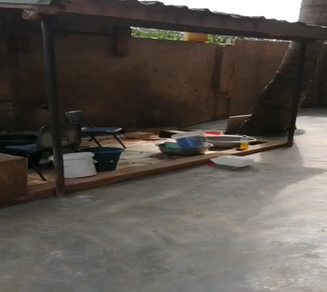 Kitchen and Backyard Transformation